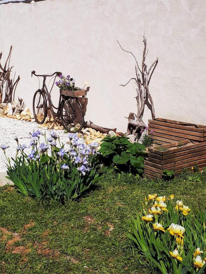 Les Coronilles Bed & Breakfast Saint-Maximin Eksteriør bilde